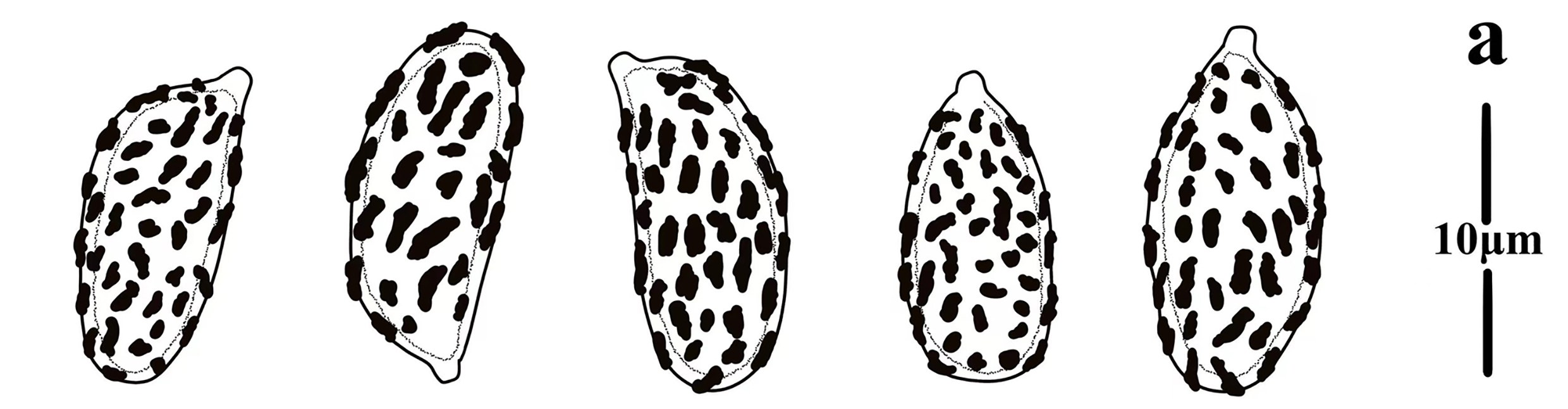 Figure 64